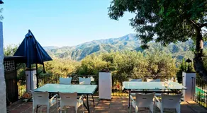 Olive Branch El Chorro - Image 4