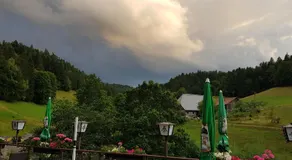 Gasthaus Mühlenstube - Image 4