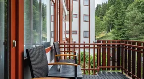 Apartment Eisenhauer in Schluchsee - Image 3