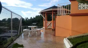 Golden Apple Cottage - Image 3