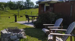 GITE LA ROCHE - Image 5
