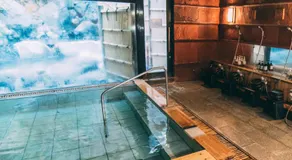 Iwaiyado Jyuan Nikko Kawaji onsen - Image 5