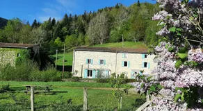 Au mohair des Alpy - Image 5
