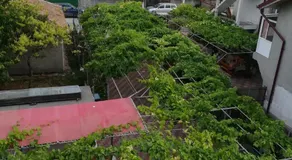 Vila Andre - Image 3