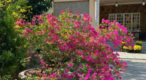 HÒANG HÔN HOMESTAY - Image 2
