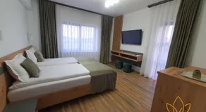 Pensiunea Harmony Băile Felix - Image 2