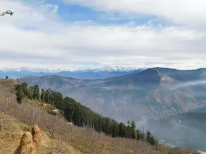 Himalayan yetis camp and tree house - Image 2