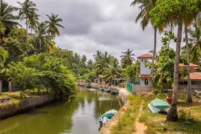 Tropical Garden - Image 4