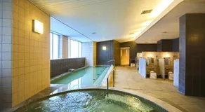 MAIHAMA VIEW HOTEL by HULIC Formerly Tokyo Bay Maihama Hotel - Image 5