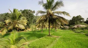 Karanda Eco Resort - Image 5