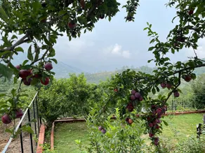 ValleyView Homestay - Image 4