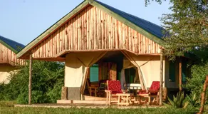 Zebra kemangore Bush Tented Lodge - Image 4