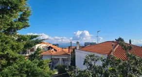 MUSH ROOMs AFYTOS - Image 5