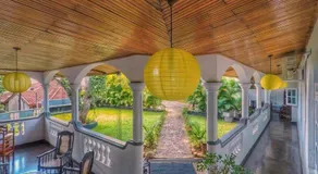 The Mango - Image 3