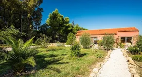 Chambres d'hôtes l'Olivette des Albères - Image 4