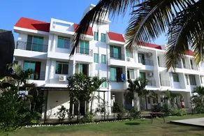 THE BLISS PALM - Image 5