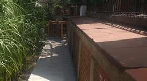 Palmira - Image 3
