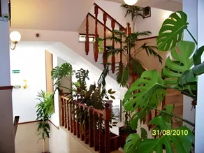 HOTEL SLOW STAY - Esposende - Image 5