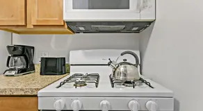 Stunning Solo/Couple 1BR Center of Lakeview Wifi - Image 4