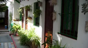 Pensión San Andrés I - Image 3