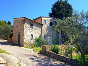 Farmhouse in a lovely park near Florence with beautiful pool among olive trees - Image 3