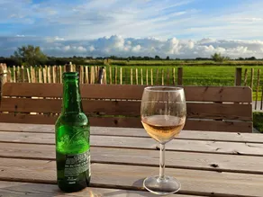Garden Paradise in Frisian - Image 5