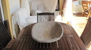 Casa dos Cactos - Image 2