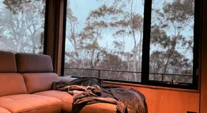 Richmond Wildlife Haven - Image 3