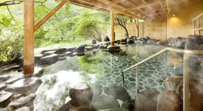 Oyama Ryokan Tochinoki Onsen - Image 4