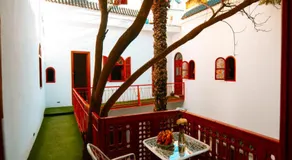 Riad O LY - Image 2