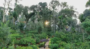 Dhanagiri Homestay Wayanad - Image 5