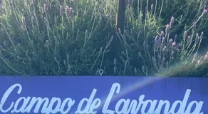 Granja & Vivero Lavanda - Image 2