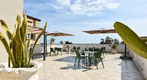 Fiko Suite - Image 2