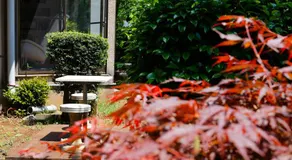 Hakone Villa - Image 4