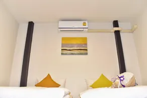 Soft Dormtel Night Bazaar - Image 5