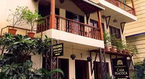 Casa Peacock - Image 4