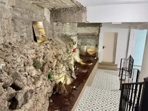 La Palma - Image 4