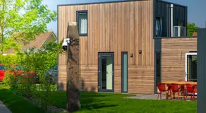 Zindering Renesse - Image 5
