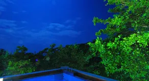 Knt House - Image 5