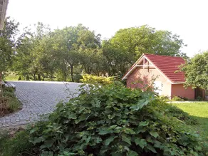 Pękowice - Image 3