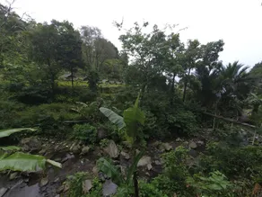 Herman Lantang Camp - Image 3