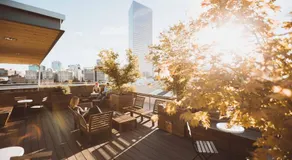 The Society Hotel - Image 2