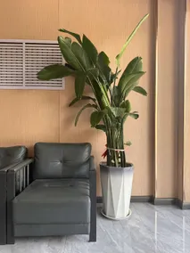 Yago Smart Hotel - Image 5