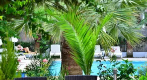 Margaritaotel - Image 5