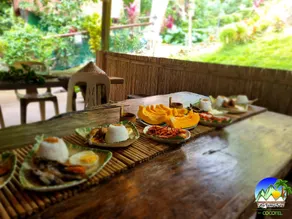 Zen Tierras Farm powered by Cocotel - Image 4
