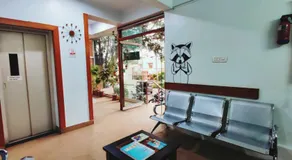 Raccoon Rooms - Image 4