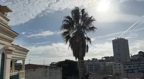 Le top - Image 4