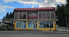 Urban hotel Tsalenjikha - Image 3