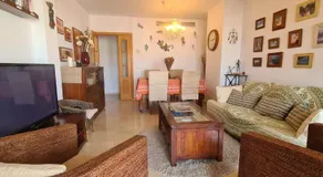 The Salamadras - Image 3