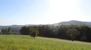 Impuls Hof - Unterhegerberg - Image 5